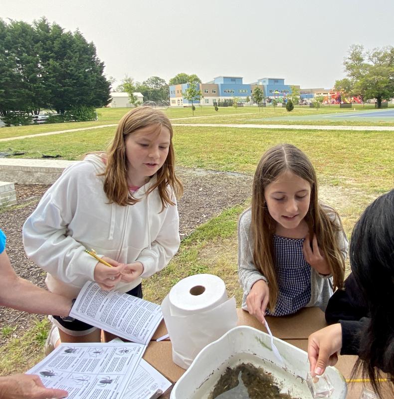 Deven Harpster, left, refers to an organism identification booklet while Kinley Johnson helps looks for critters.